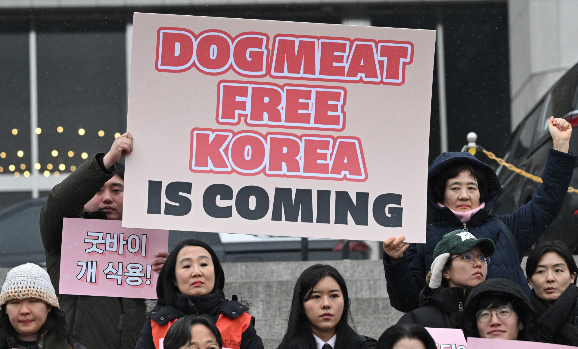 Manifestação a favor da lei que proíbe a venda e consumo de carne de cachorro na Coreia do Sul - Jung Yeon-Je / AFP