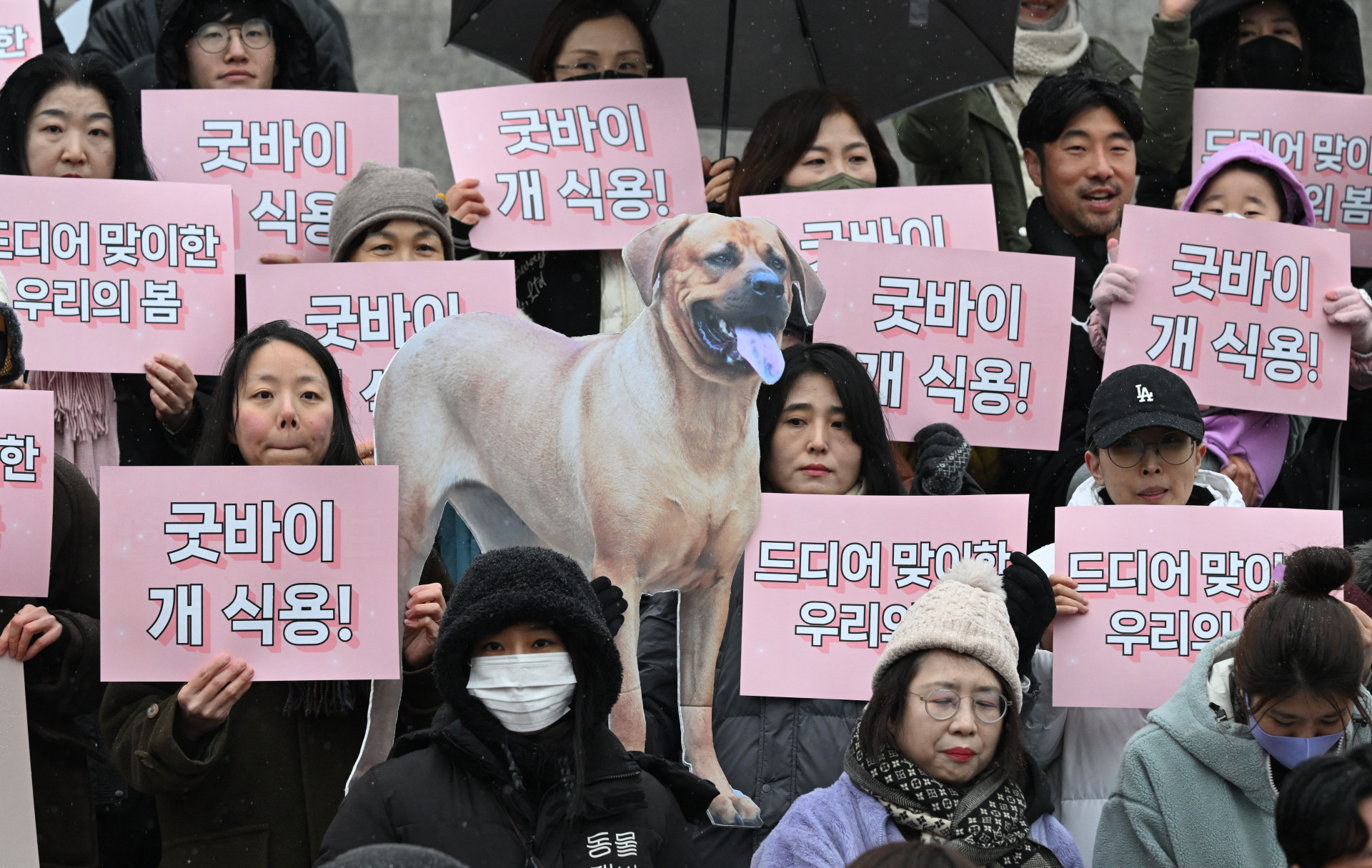  - Jung Yeon-Je / AFP