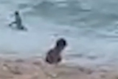 Vídeo mostra menino Edson Davi brincando próximo ao mar no dia de seu desaparecimento