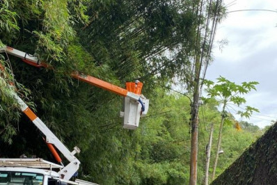 Enel programa 10 mil podas preventivas para Petrópolis no primeiro trimestre