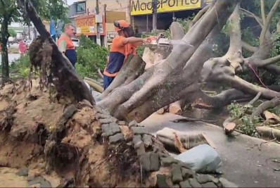 Temporal de pouco mais de uma hora causa estragos em vários pontos do município