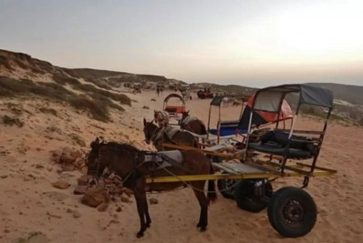 Jericoacoara, no Ceará, proíbe uso de charretes com tração animal; entenda