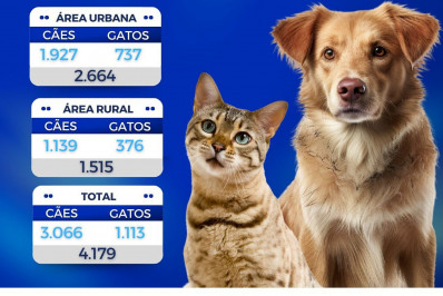 Mais de quatro mil animais receberam a vacina antirrábica em Areal no último ano