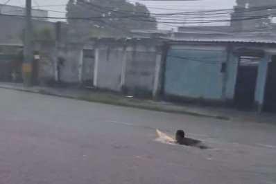 Vídeo: surfista surge em rua de São João do Meriti durante enchente