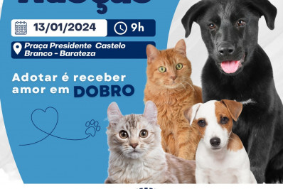 Areal terá feira de adoção de cães e gatos neste sábado 