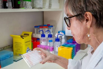 Butantan desenvolve teste que detecta leptospirose em estágio inicial