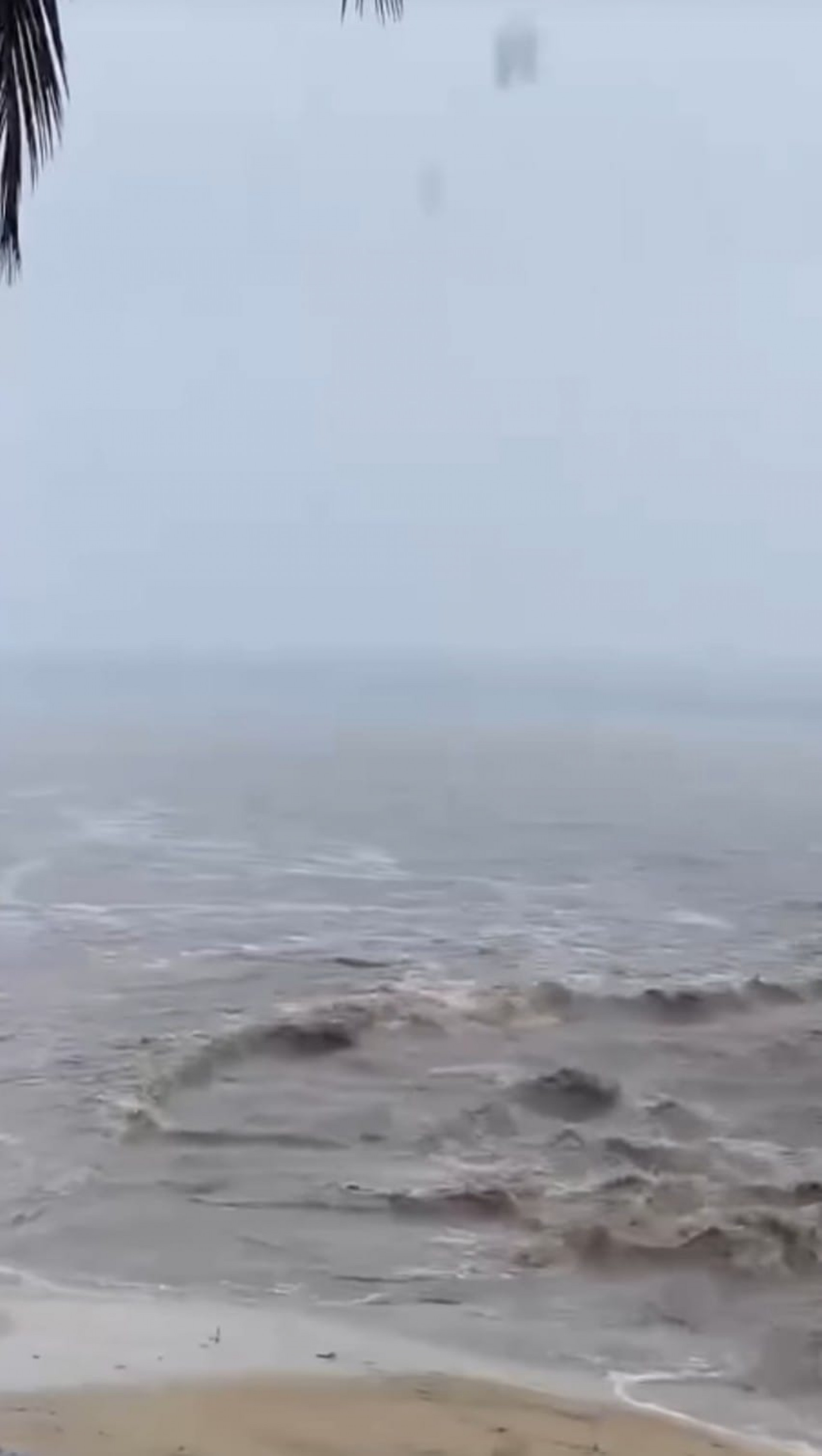 Ilha Grande sem visibilidade por conta do mau tempo - Divulga&ccedil;&atilde;o/reprodu&ccedil;&atilde;o rede social