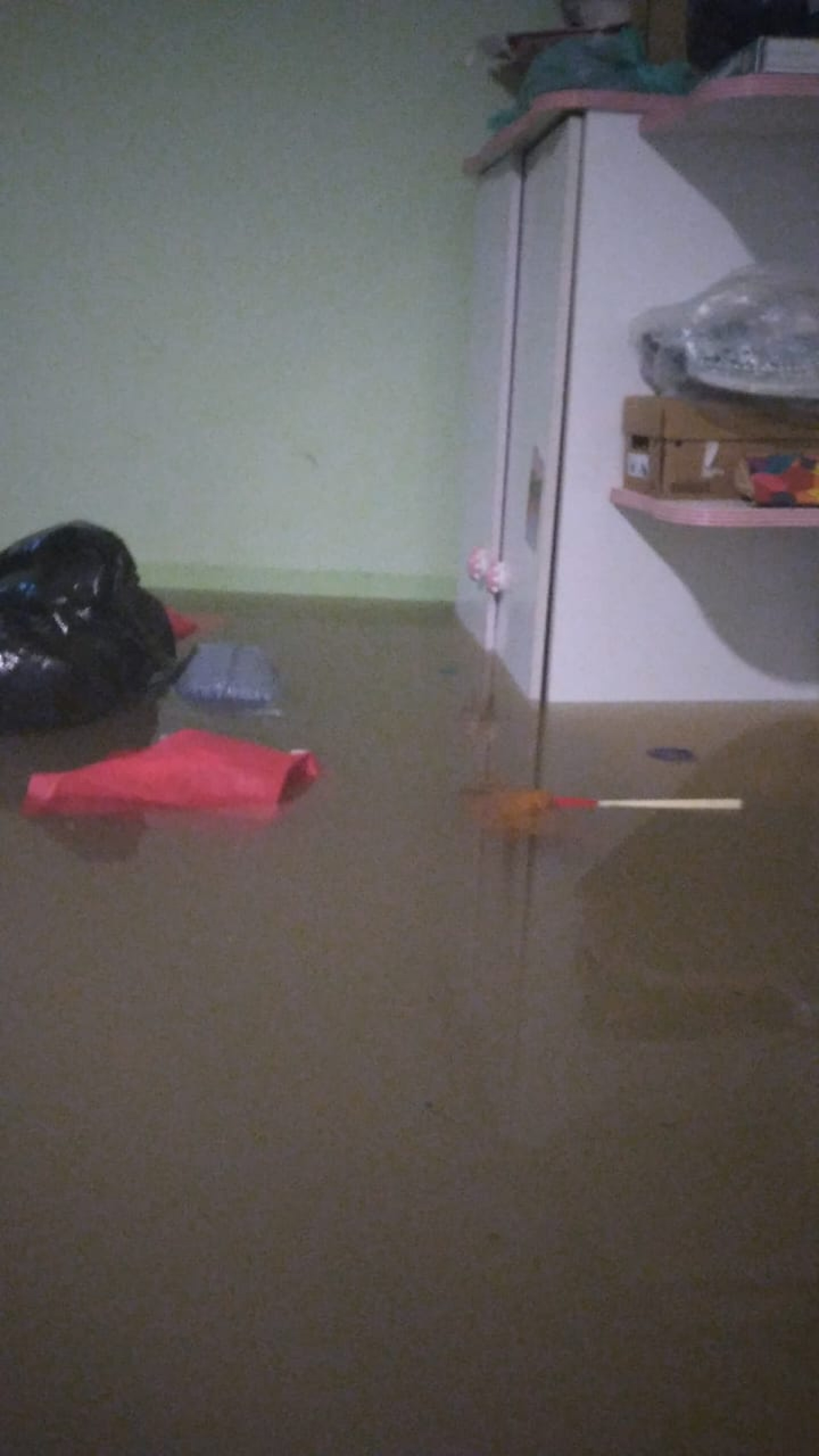 Na foto, tia de Danilo Pinna, no momento em que sua casa foi invadida pelas águas da chuva - Divulgação