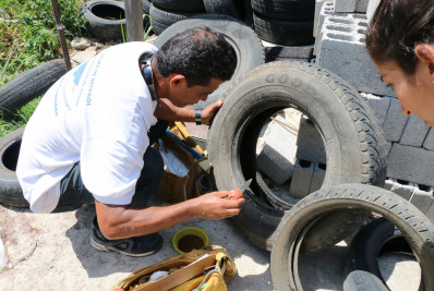 Cidade de Niterói mantém casos de dengue estáveis