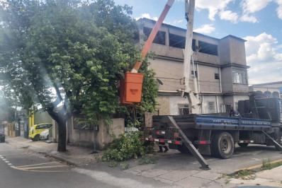 Ordem Pública intensifica podas e cortes emergenciais em Volta Redonda