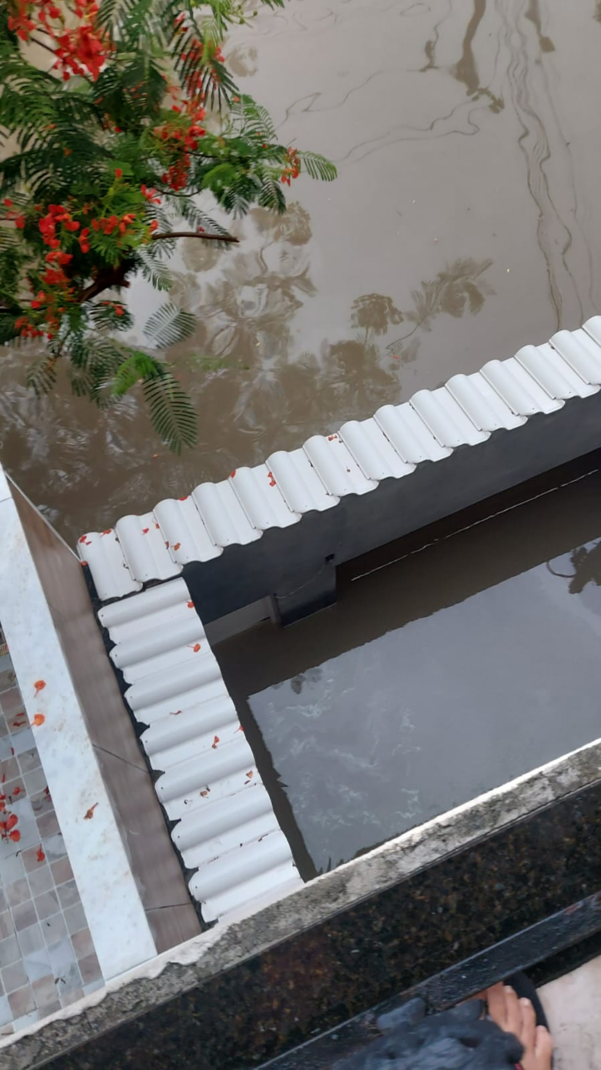 Altura da água passou dos dois metros em alguns pontos do bairro