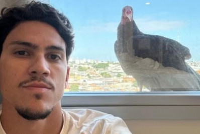 Pedro, do Flamengo, é 'acordado' por urubu no dia da estreia na temporada: 'Bem-vindo, 2024'