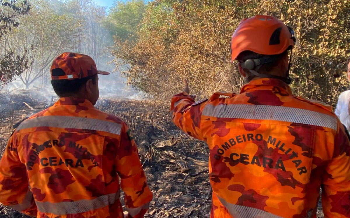 Incêndio atinge maior parque em área urbana do Nordeste
