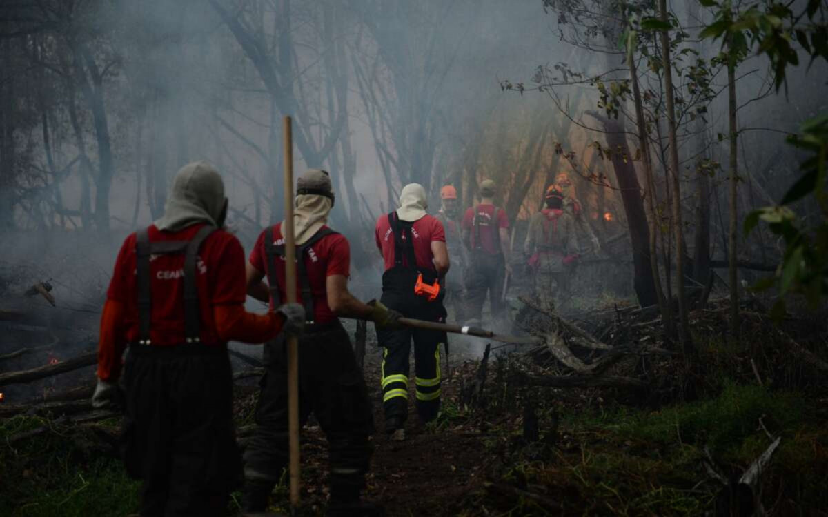 Incêndio atinge maior parque em área urbana do Nordeste
