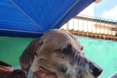 Meriti recebe ação social para animais e moradores atingidos pelas chuvas