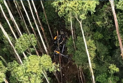 Helicóptero que caiu em SP bateu em vegetação antes da queda, aponta Cenipa