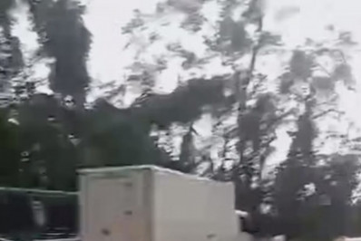 Temporal derruba árvores e fios de energia na Rio-Santos em Angra dos Reis