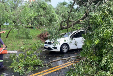 Temporal derruba árvore em cima de carro em Volta Redonda