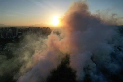 Incêndio atinge maior parque em área urbana do Nordeste