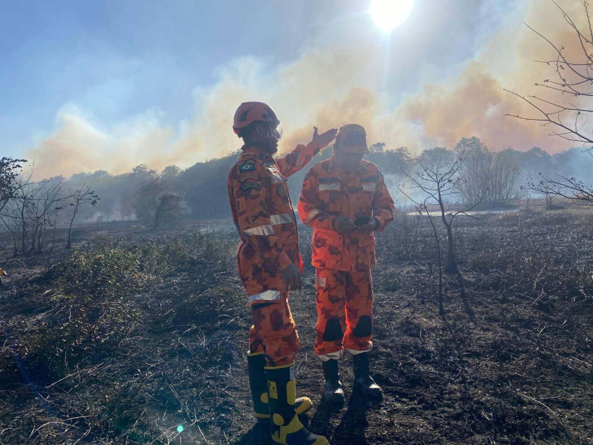 Incêndio atinge maior parque em área urbana do Nordeste