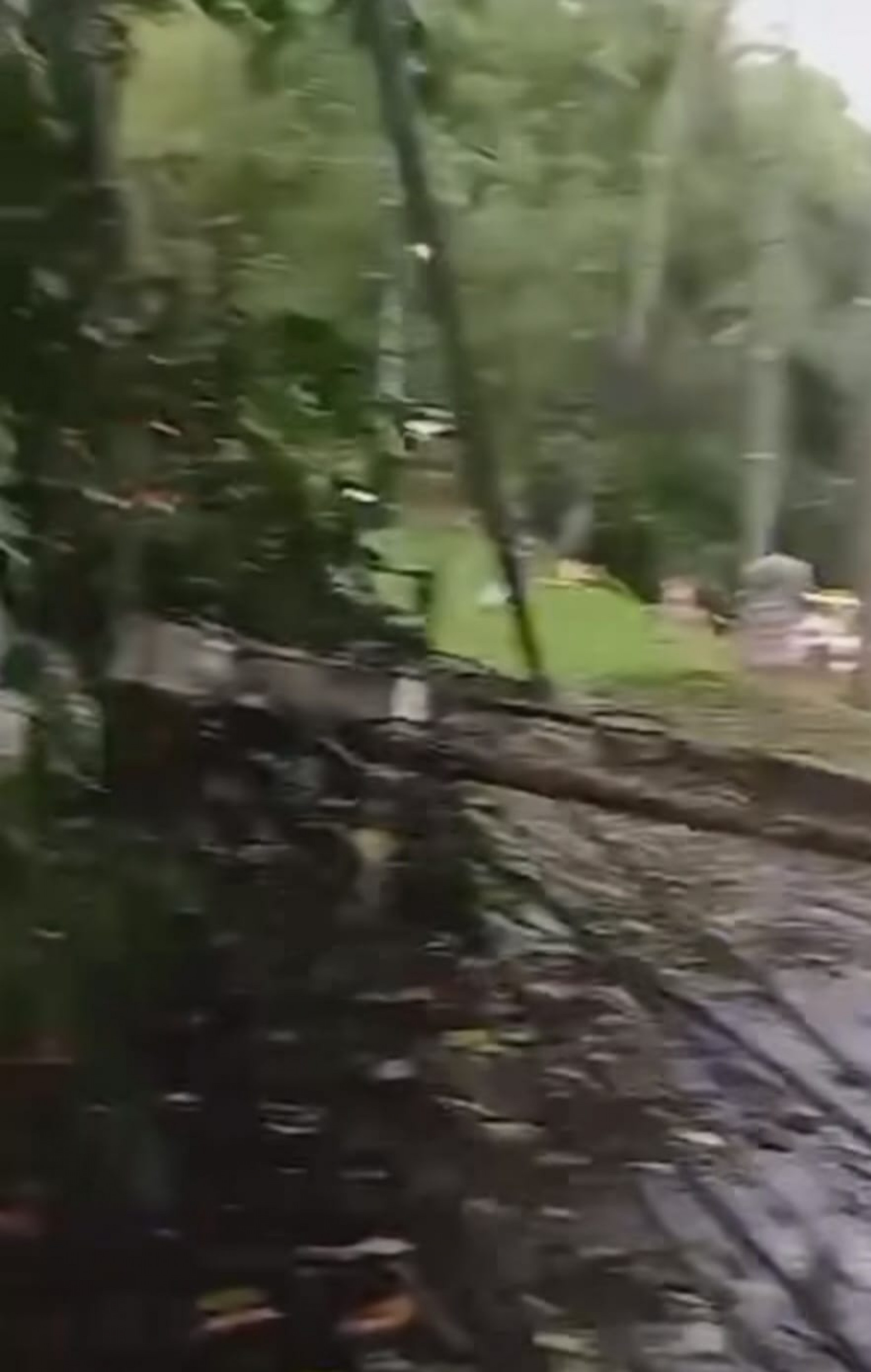 Poste ca&iacute;do na Rio-Santos depois de um vento forte com chuva que atingiu o Parque Mambucaba  - Divulga&ccedil;&atilde;o/reprodu&ccedil;&atilde;o rede social