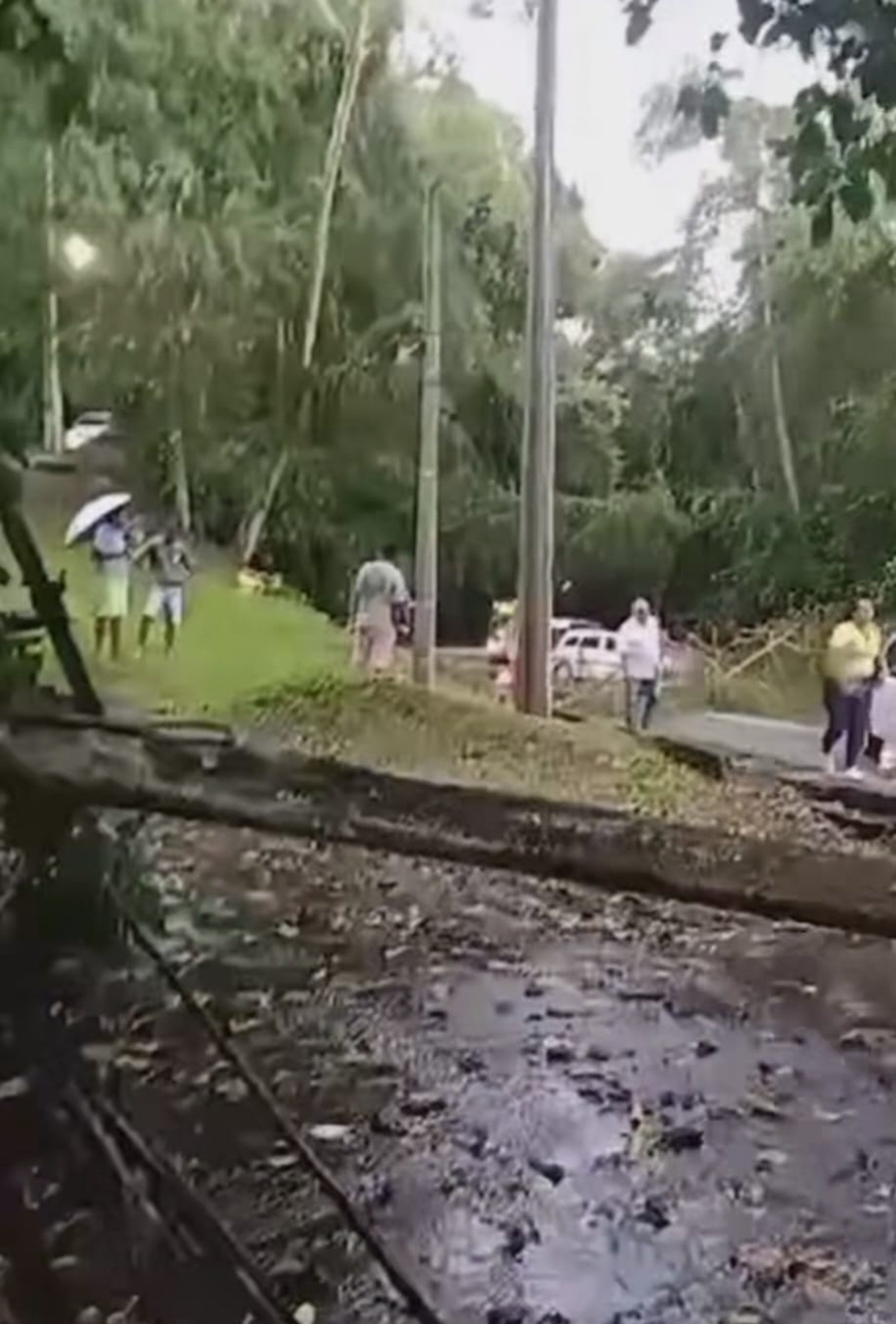 Moradores e motoristas tentando acessar o bairro Parque Mambucaba temendo uma descarga elétrica devido aos fios caídos no chão - Divulgação/reprodução rede social