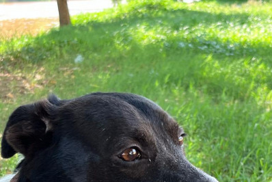 Cursos de graça no Senac 