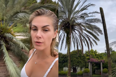 Ana Hickmann comenta susto após queda de tamareira: 'Quase caiu em cima de casa'