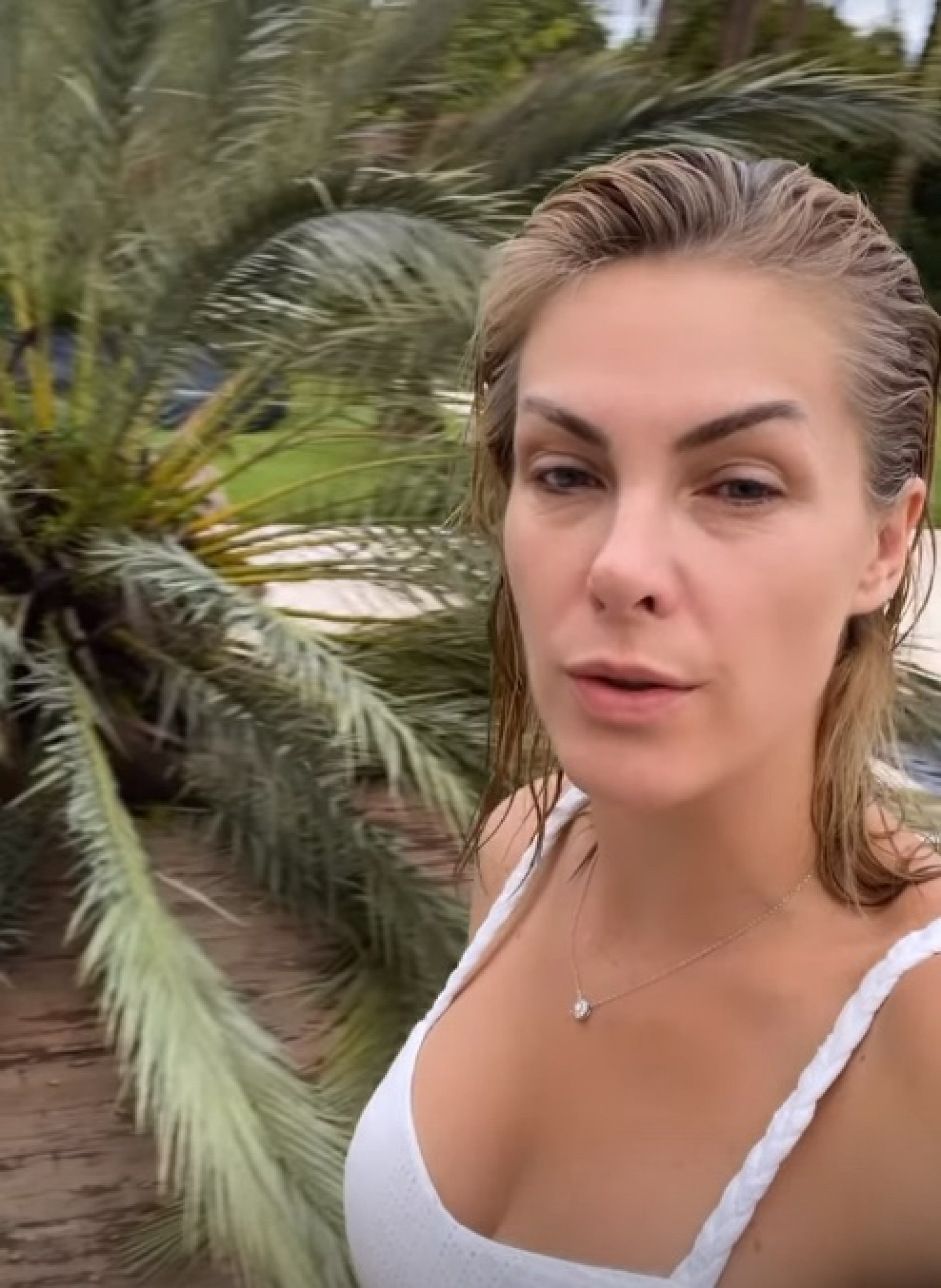 Ana Hickmann diz que árvore quase caiu em cima de sua casa - Reprodução de vídeo