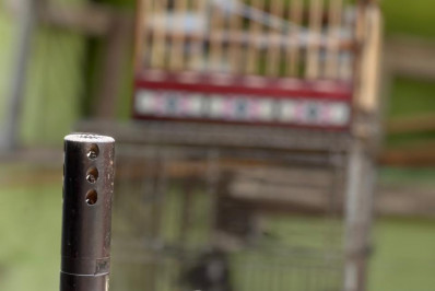 Animais silvestres são resgatados de cativeiro em Campo Grande