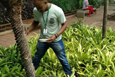 Ações contra o mosquito da dengue são realizadas na Praça Garcia