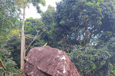 Aluguel Social: 43 famílias do Ingá, na Posse, são incluídas no programa