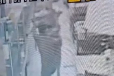 Idoso é agredido ao tentar evitar roubo a restaurante em Angra dos Reis