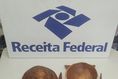 Receita Federal apreende mais de R$ 62 mil em haxixe no Galeão