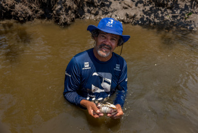 Projeto UÇÁ monitora fauna em manguezal restaurado da APA de Guapi-Mirim