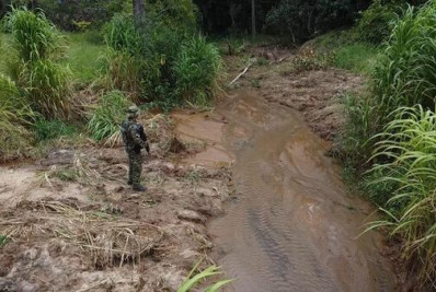 Crimes ambientais são identificados em Teresópolis após denúncia à Linha Verde