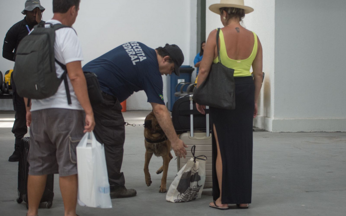 Cão farejador ajuda na checagem das bagagens de passageiros de cruzeiro no Porto do Rio