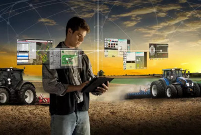 Agricultura foi única atividade com redução de empregados em 2023, mostra IBGE