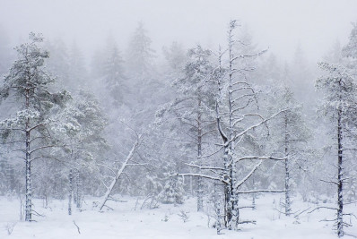 Ondas de frio extremo na Europa do Norte são menos frequentes, mas mais perigosas
