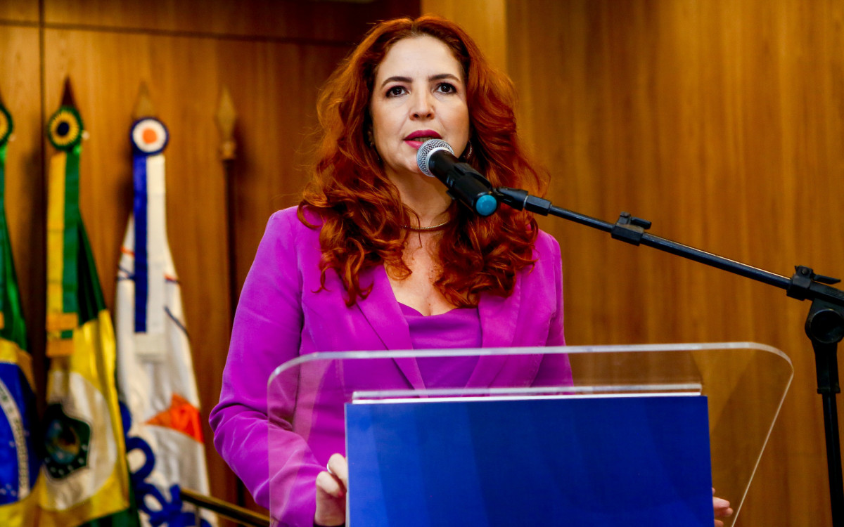 Enid C&acirc;mara, presidente da Abeoc, ressaltou o apoio de parlamentares contra o fim do Perse - Foto: Divulga&ccedil;&atilde;o