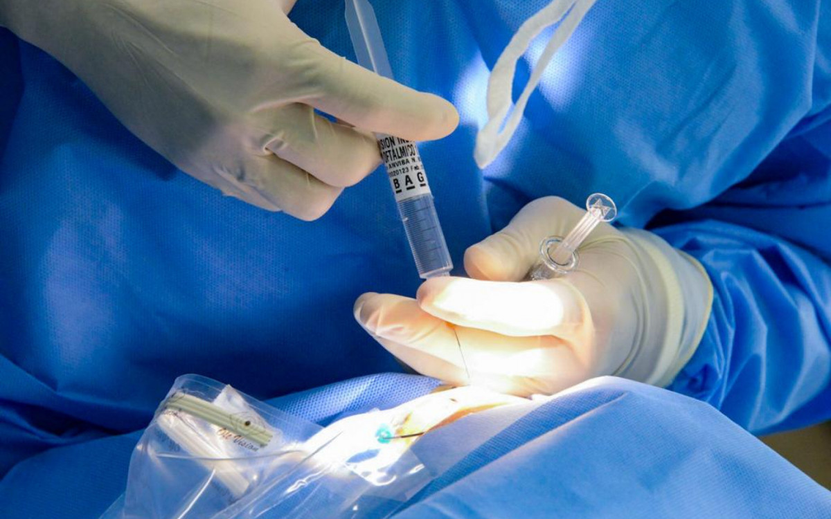 Mutirão da Catarata 