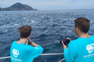Projeto Mar de Baleias encontra grupo com mais de 200 golfinhos em Arraial do Cabo