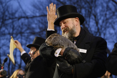 Marmota mais famosa do mundo prevê primavera antecipada