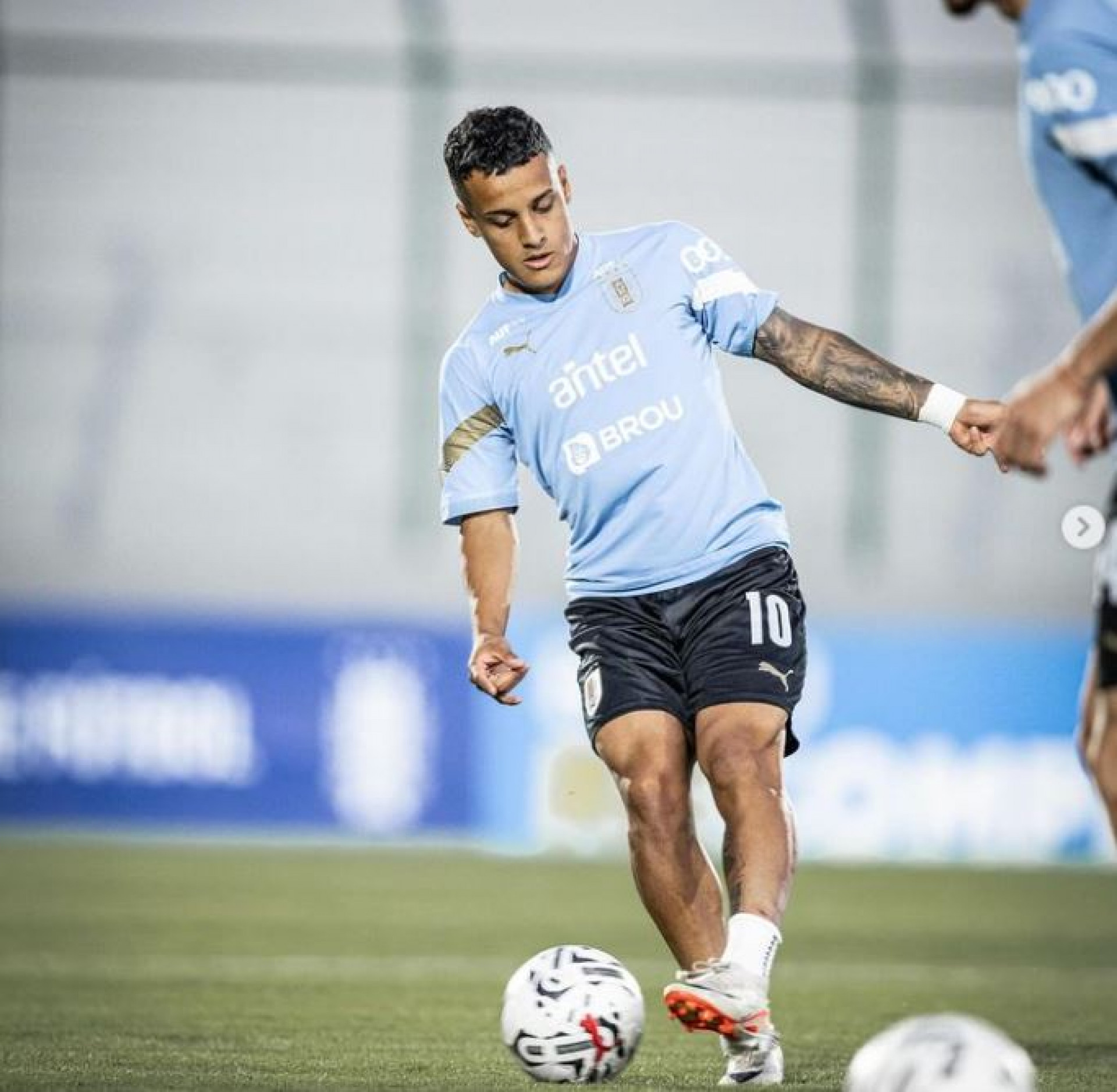 Flamengo sonda Tiago Palacios - Divulgação Instagram