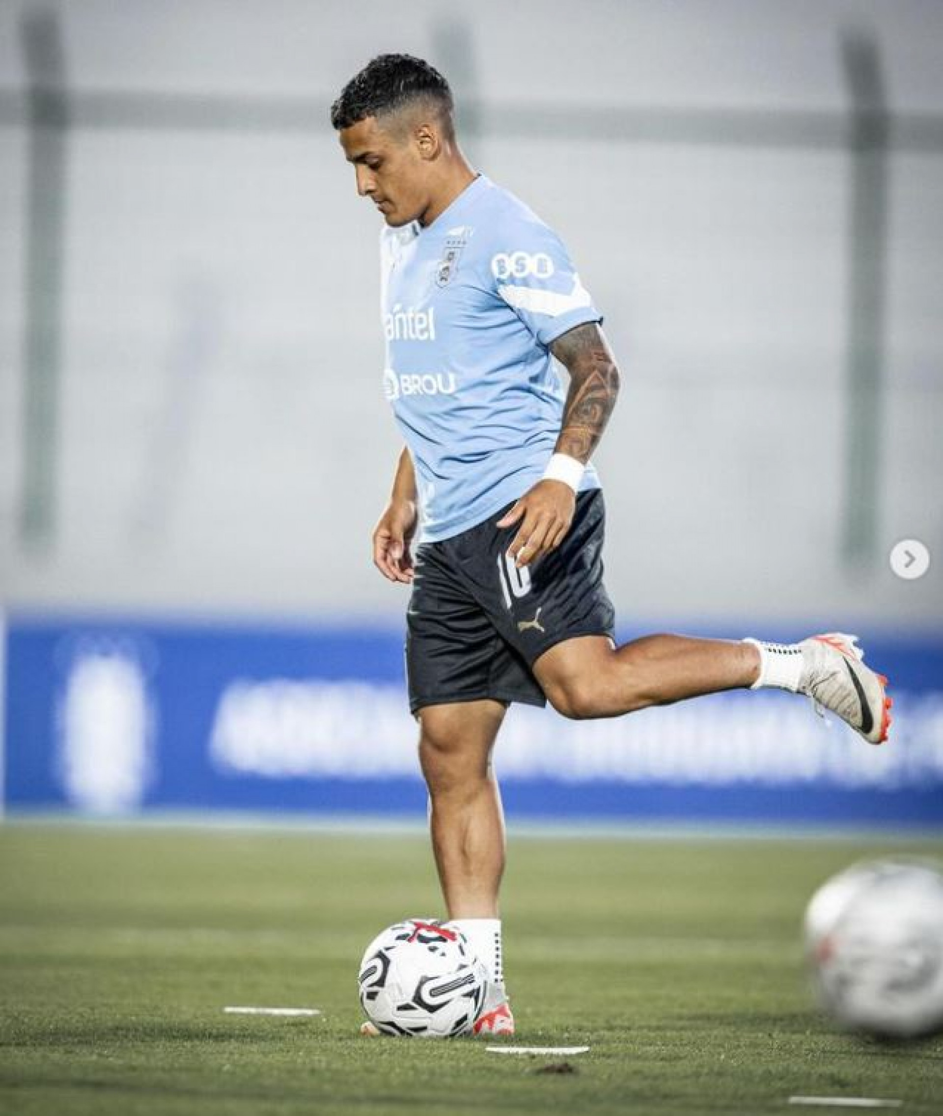 Flamengo sonda Tiago Palacios - Divulgação Instagram