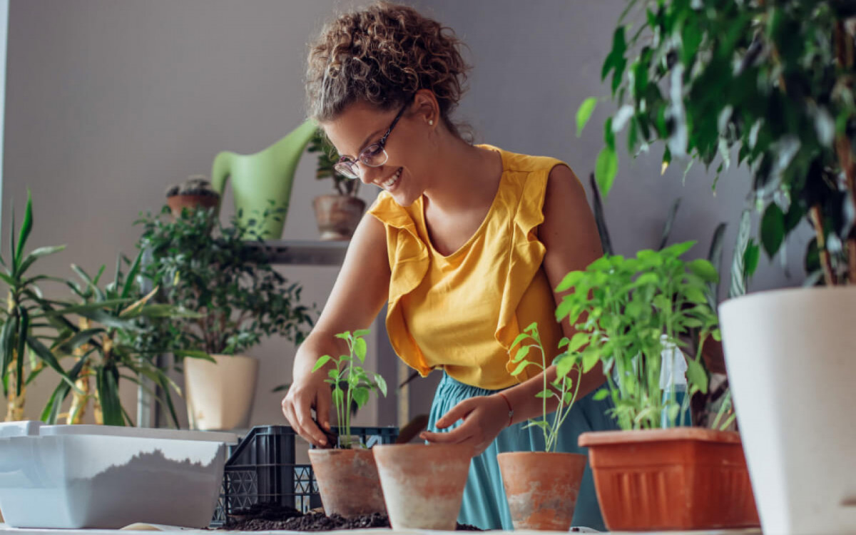 Alguns equipamentos s&atilde;o essenciais para a manuten&ccedil;&atilde;o de um jardim (Imagem: Likoper | Shutterstock)