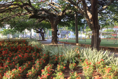 Projeto Arboribus mapeia e registra a flora de Niterói