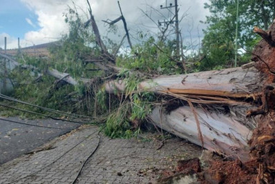 As tragédias climáticas anunciadas que insistimos em ignorar