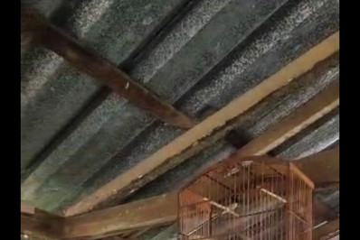 Polícia Ambiental liberta pássaros silvestres