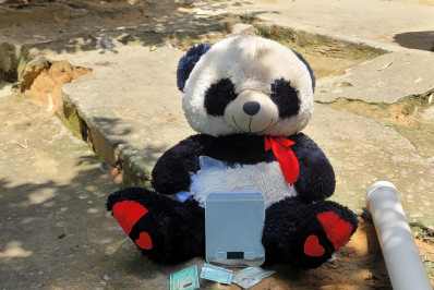 Polícia encontra drogas dentro de urso de pelúcia em Três Rios